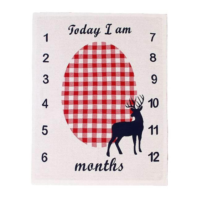 Seasonal Milestone Baby Blanket - Premium  from Hey! Little One - Just £16.50! Shop now at Hey! Little One
