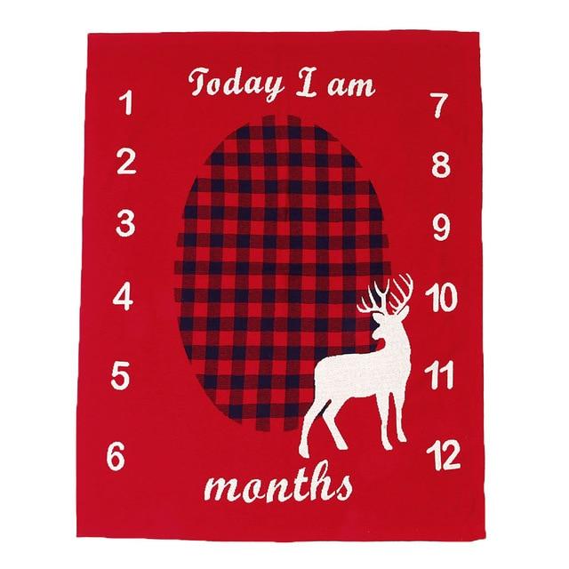 Seasonal Milestone Baby Blanket - Premium  from Hey! Little One - Just £16.50! Shop now at Hey! Little One